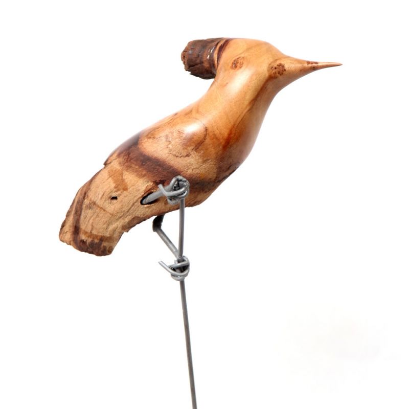 Bird - Hoopoe in Mopane Wood - Small