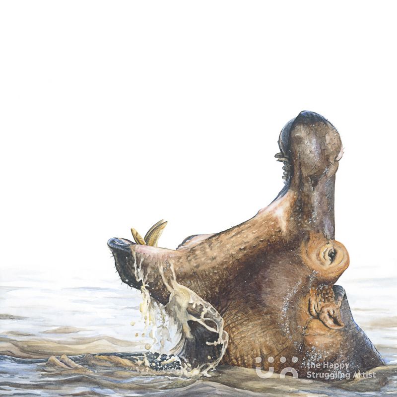Fine Art Print - Mouthwatering - Hippo