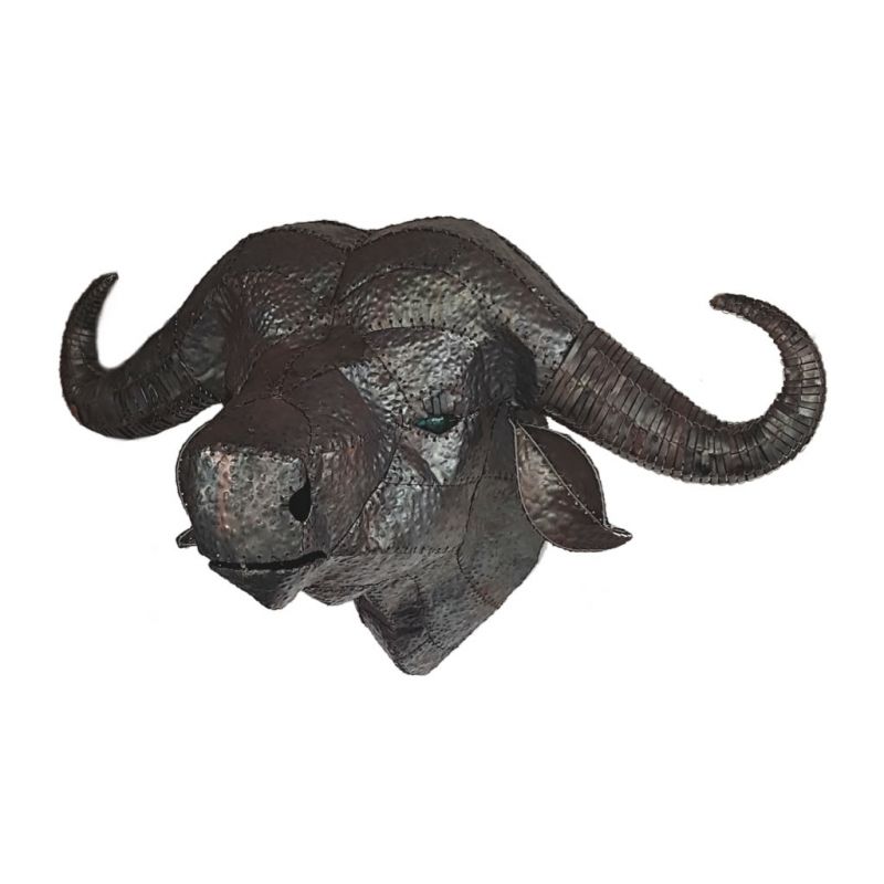 Water Buffalo - Trophy Head - Large