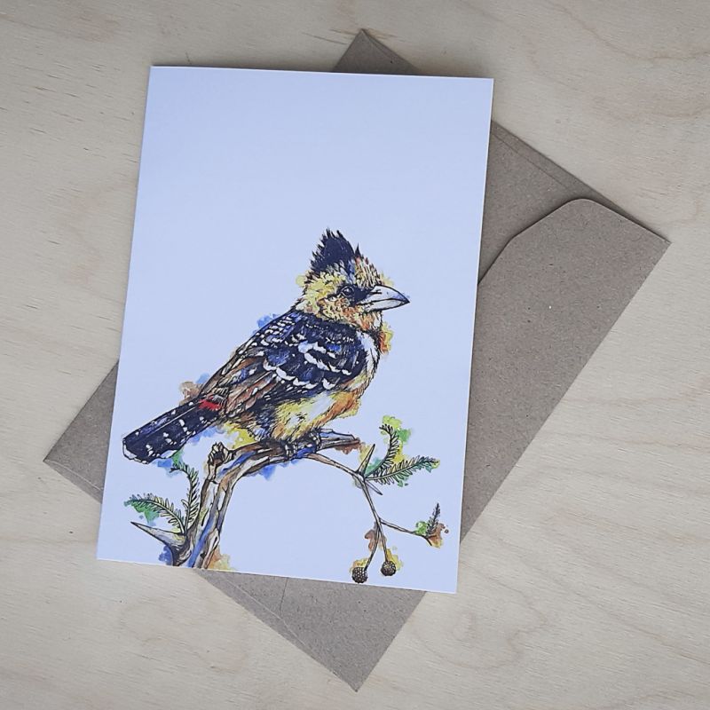 Crested Barbet - Greeting Card - A6 single